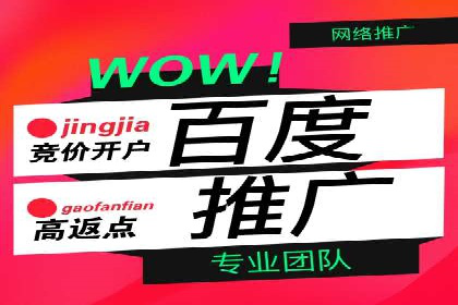 百度竞价排名案例：如何应对竞争对手的挑战